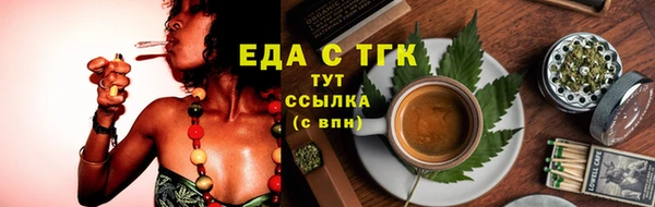 мдпв Гусев