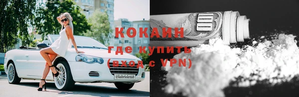 шишки Гусь-Хрустальный