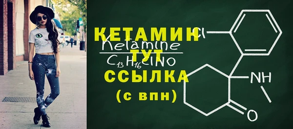мдпв Гусев