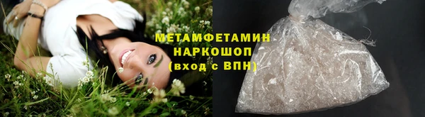 мдпв Гусев