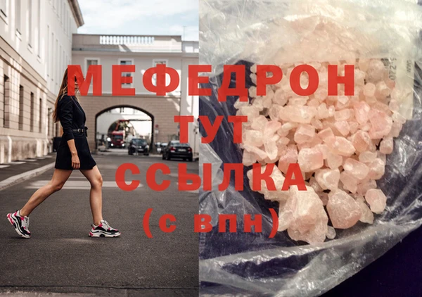 мдпв Гусев