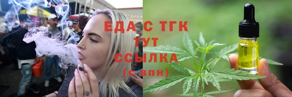 мдпв Гусев