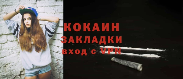 мдпв Гусев