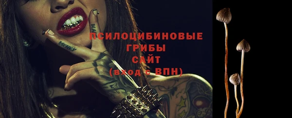 мдпв Гусев