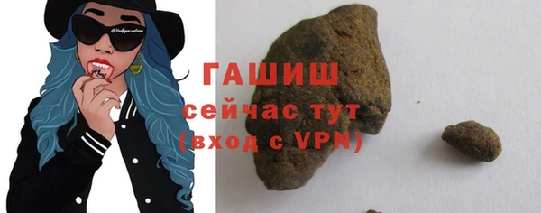 мдпв Гусев