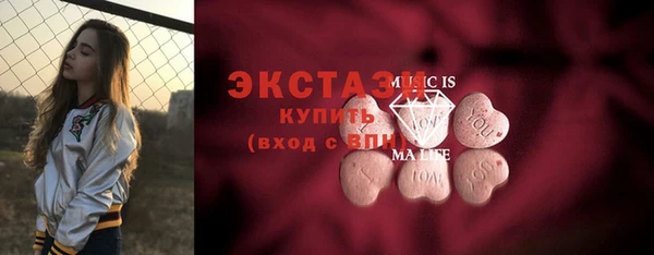 мдпв Гусев
