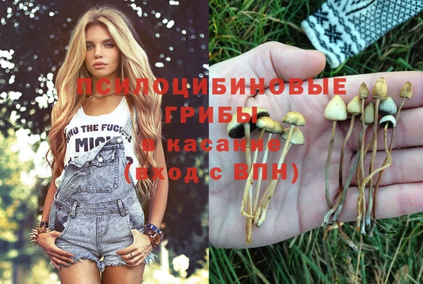 мдпв Гусев