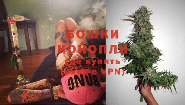 мдпв Гусев