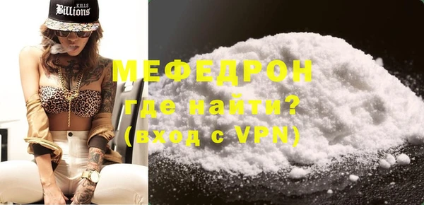 мдпв Гусев