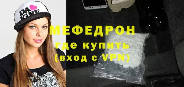 мдпв Гусев