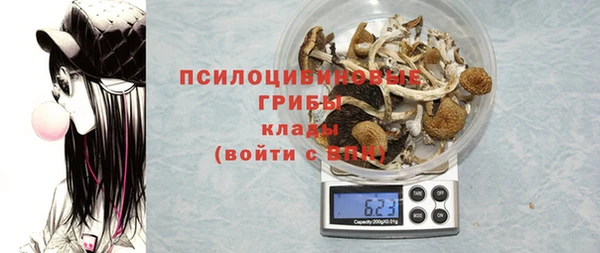 шишки Гусь-Хрустальный