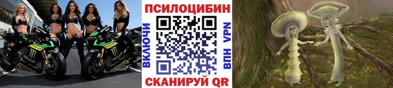 Купить где  Новороссийск  Псилоцибиновые грибы Psilocybine cubensis 